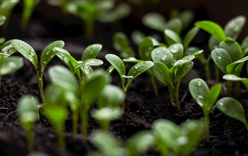 1658373688220456.png image.png