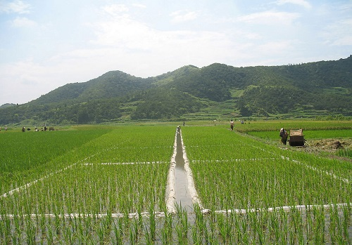 1658976232452912.png image.png