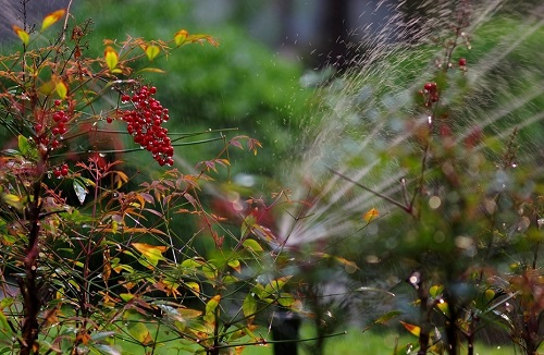 1660110909304440.png image.png