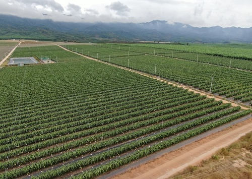 1665555410319302.png image.png