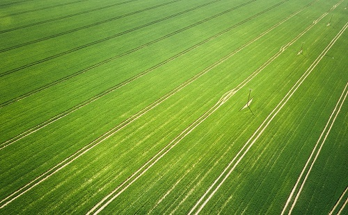 1668489989259131.png image.png