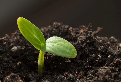 1670571472933479.png image.png