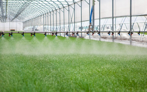 1674974651211626.png image.png