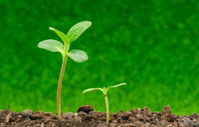 1681953565185838.png 種子萌發(fā)的土壤溫度一般是多少