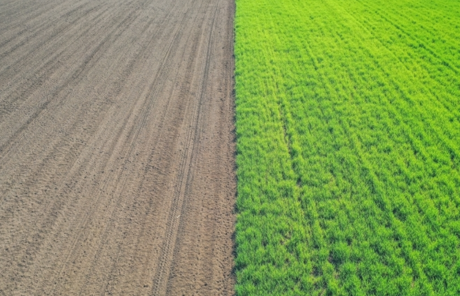 1683273605171584.png 1683273605171584.png